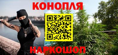 прущие крисы Аша
