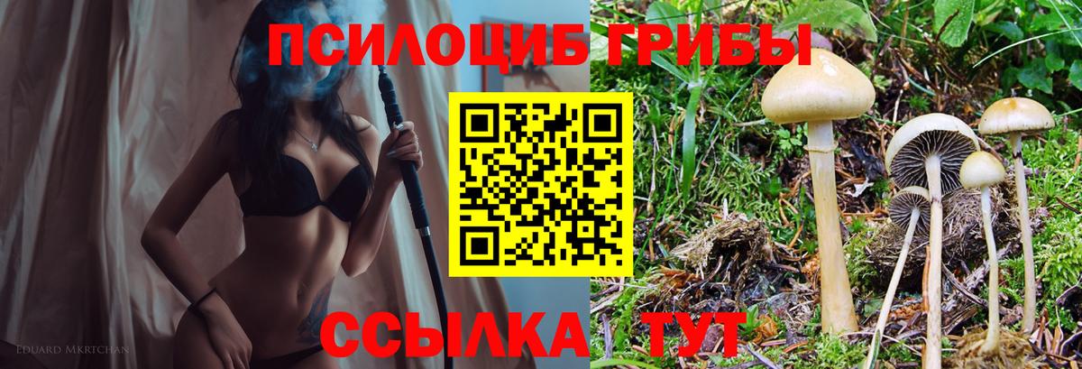 Галлюциногенные грибы прущие грибы Светлоград